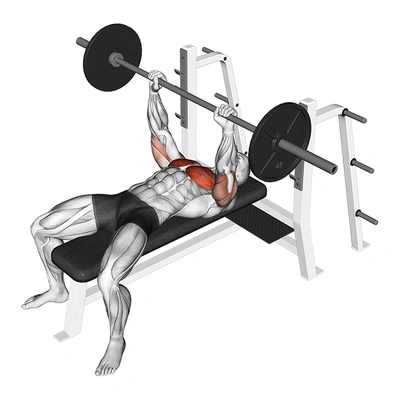 Bench Press