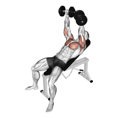 Incline Dumbbell Press