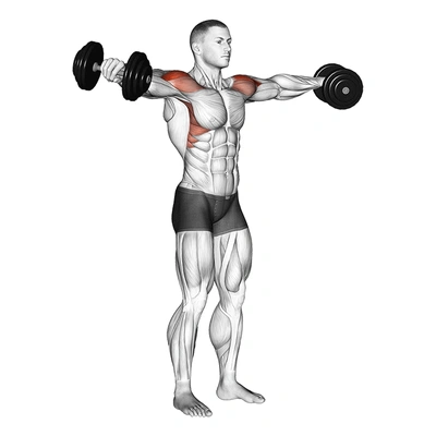 Lateral Raises